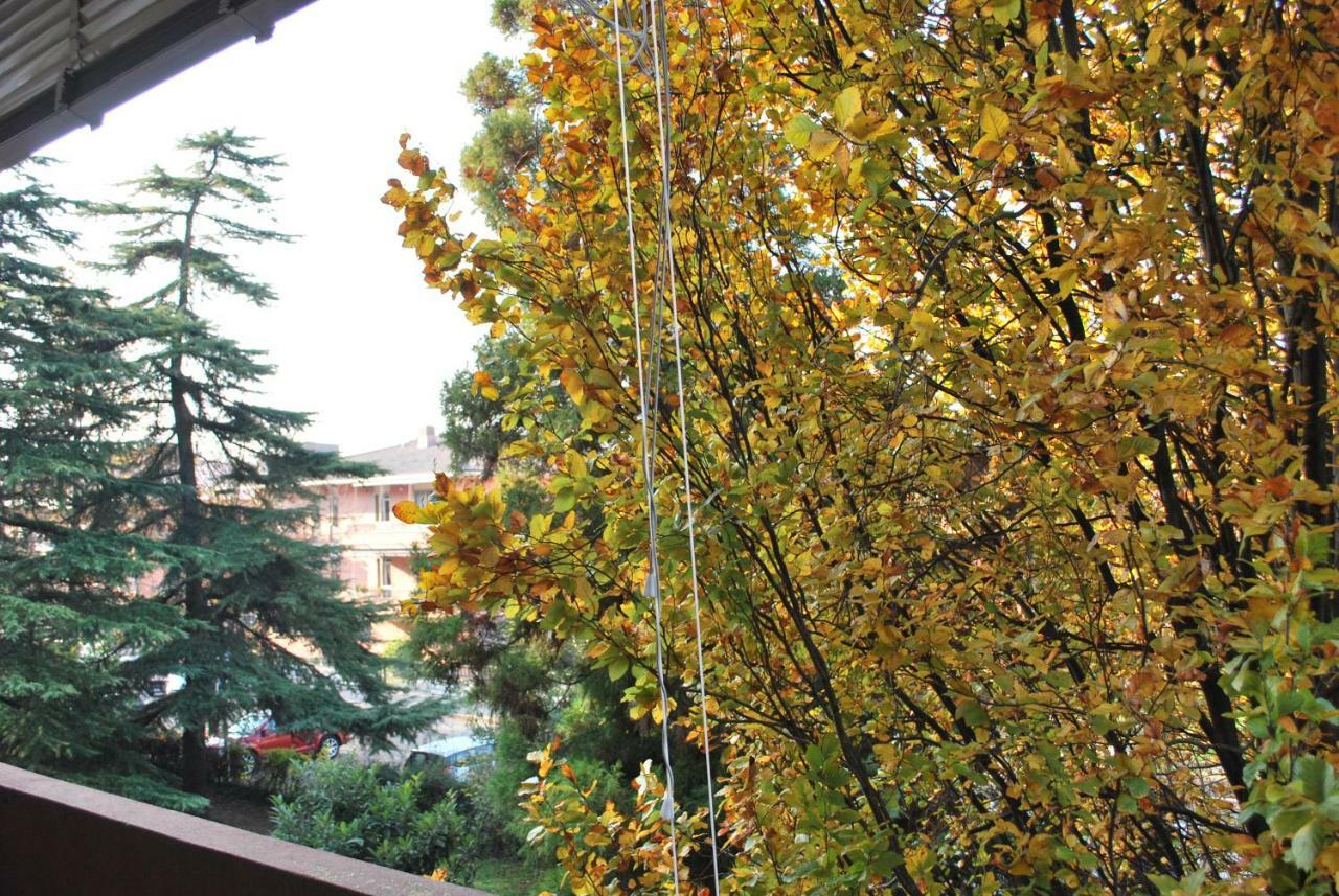 Bed And Breakfast Bio Salix Padua Buitenkant foto