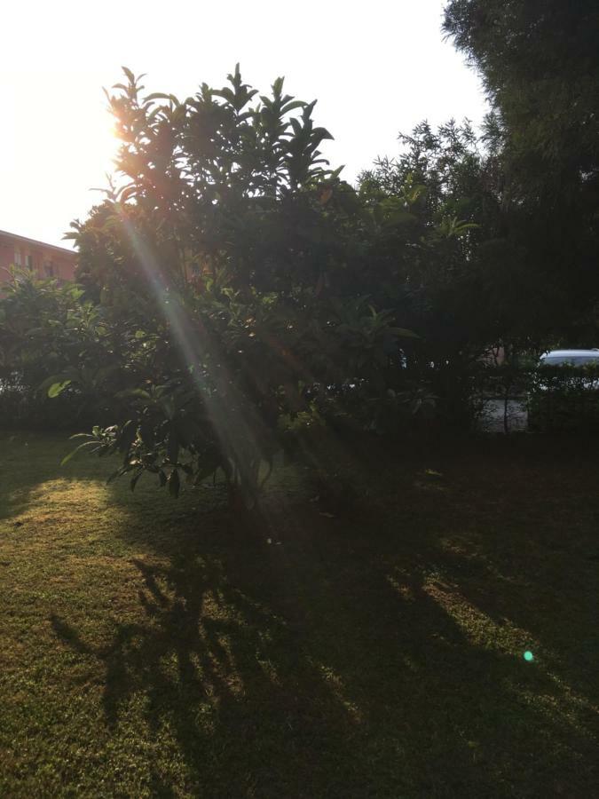 Bed And Breakfast Bio Salix Padua Buitenkant foto