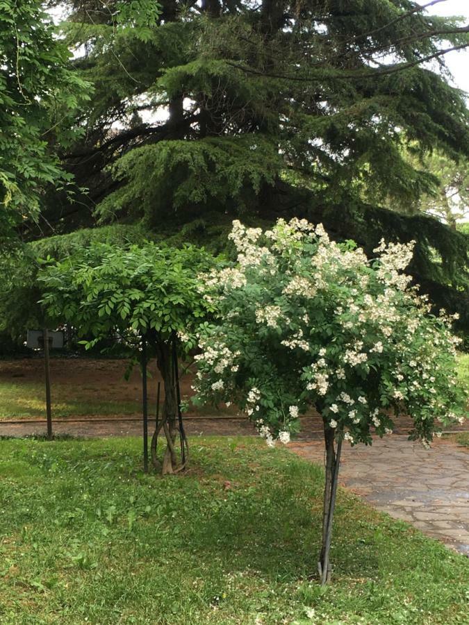 Bed And Breakfast Bio Salix Padua Buitenkant foto